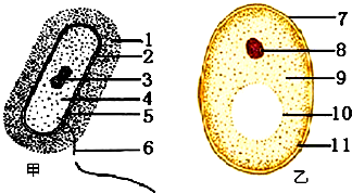 ͼǽĸϸʾͼ