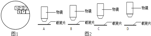 2013-2014学年安徽省巢湖市无为县华星中学高一(上)