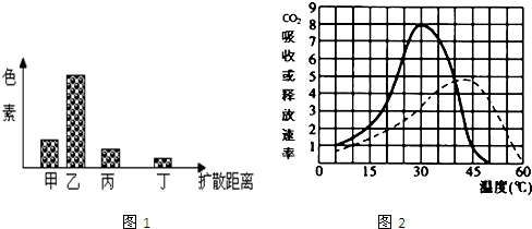 >> 文章内容 >> 图示是新鲜绿叶的四种光合色素在滤纸上分离的情况