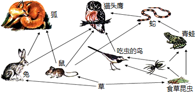 2013-2014学年河南省平顶山外国语学校七年级