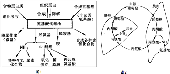 氧化还原反应中为什么不交叉的原理(3)