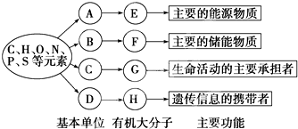 4ceb1b21.png