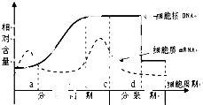 扶沟gdp(3)