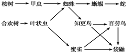 菁優(yōu)網(wǎng)