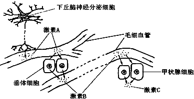 菁優(yōu)網