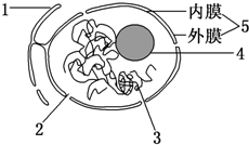 如图所示,下列有关细胞核结构与功能的叙述中