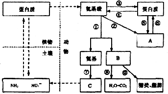 bf356256.png