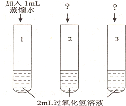 过氧化氢酶活性测定