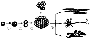 c7c529b6.png