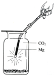 小凤又在一本参考书上发现,镁也能在二氧化碳中燃烧!于是她迫不及待地做起了这个实验(如图),将镁条点燃后迅速伸入盛有二氧化碳的集气瓶中,发现镁条剧烈燃烧,发出白光,放热,产生一 - 初中化学 - 菁优网
