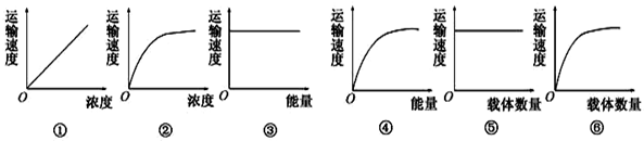 如图是几种物质进出细胞方式中,运输速度与影响因素间的关系曲线图