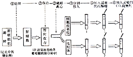 为了确定细胞有氧呼吸第二阶段发生的场所,某