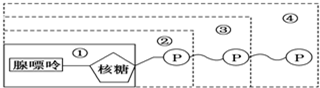 菁優(yōu)網(wǎng)