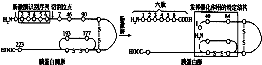 菁優(yōu)網