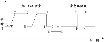 菁優(yōu)網