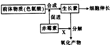 菁優(yōu)網(wǎng)