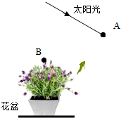 菁優(yōu)網(wǎng)