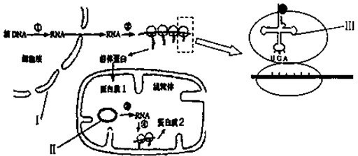 27c8d958.png