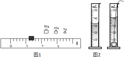 2005-2006学年沪科版八年级(下)期中物理试卷