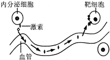 菁優(yōu)網(wǎng)