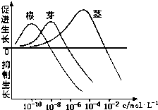 人口最适数量_正三角形脸最适的发型