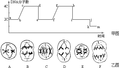 2013-2014学年广东省梅州市重点中学高一(下
