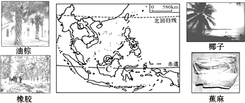 (2)c国多火山,地震,03 七年级 上学期 读东南亚示意图及相关图片