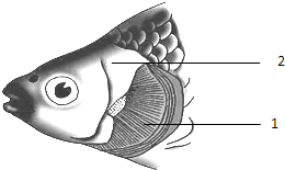 cf38918c.png