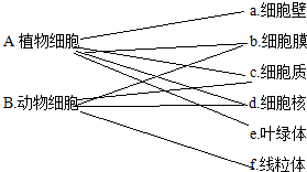 细胞是谁最先发现的 5c376474.png