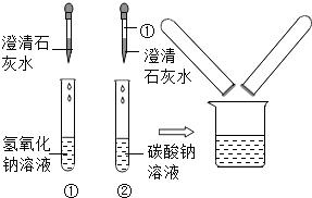 鉴别碳酸钠溶液和氢氧化钠溶液的实验结束后,