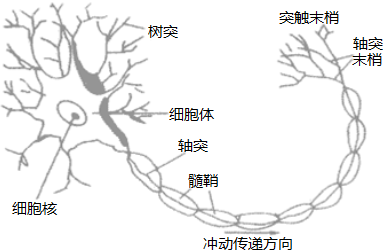 非洲人口环境问题_撒哈拉以南的非洲面临严重的人口.粮食与环境问题.其中要(3)