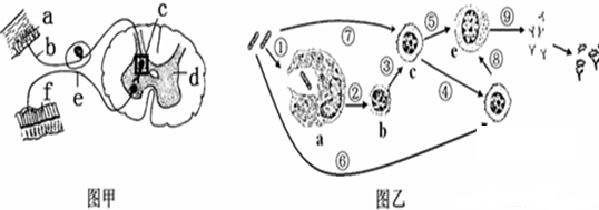 菁優(yōu)網(wǎng)