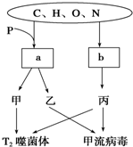 菁優(yōu)網(wǎng)