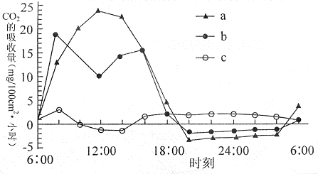 如图表示三种植物叶片光合作用速度的日变化.