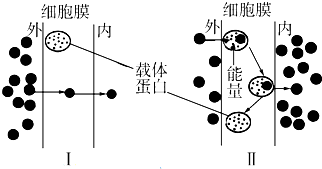 菁優(yōu)網(wǎng)