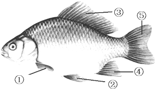 cf62f80c.png