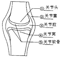 f2468e7f.png