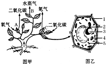 酒泉人口结构_酒泉卫星发射中心