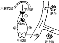 菁優(yōu)網