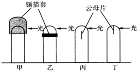 菁優(yōu)網(wǎng)