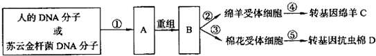 菁優(yōu)網(wǎng)