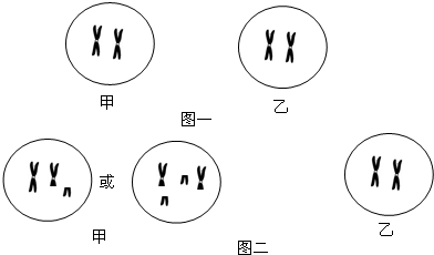 8c2d0c21.png