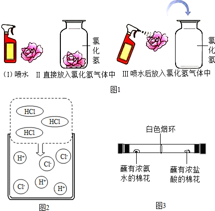 菁優(yōu)網