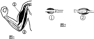 2b77f496.png