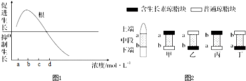 图2表示利用玉米胚芽鞘研究生长素的植物体内运输方向的实验设计