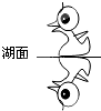 菁優(yōu)網(wǎng)