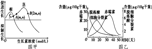 菁優(yōu)網(wǎng)