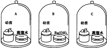 菁優(yōu)網(wǎng)