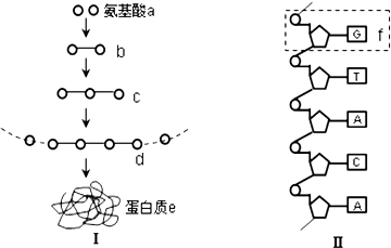 2012-2013学年山东省莱芜市高一(上)期末生物