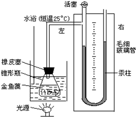 菁優(yōu)網